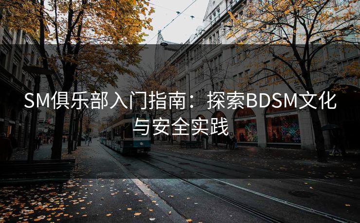 SM俱乐部入门指南：探索BDSM文化与安全实践  第1张