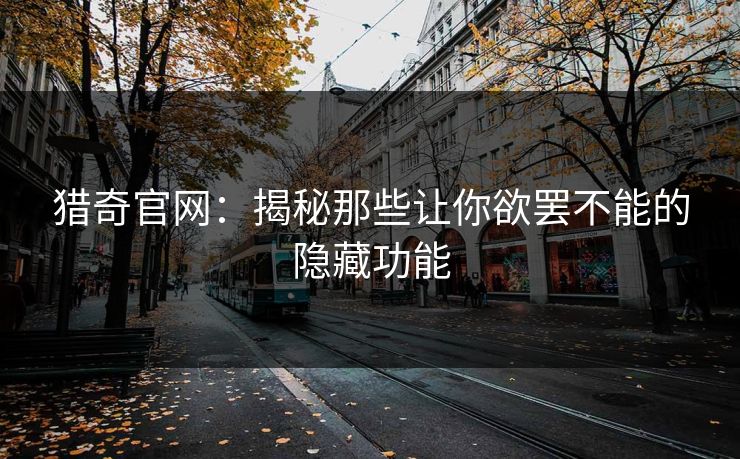 猎奇官网：揭秘那些让你欲罢不能的隐藏功能