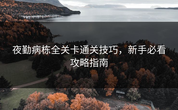 夜勤病栋全关卡通关技巧，新手必看攻略指南  第1张