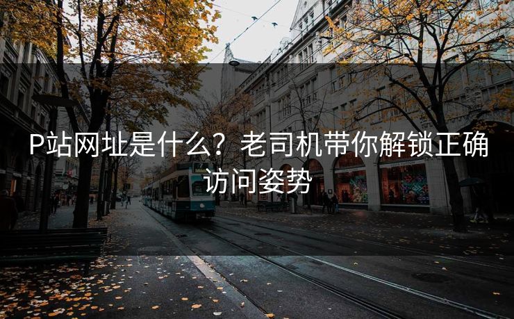 P站网址是什么？老司机带你解锁正确访问姿势  第1张