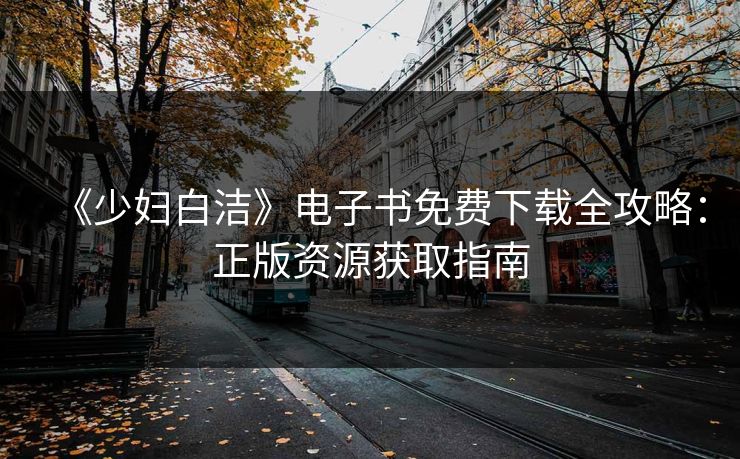 《少妇白洁》电子书免费下载全攻略：正版资源获取指南  第1张