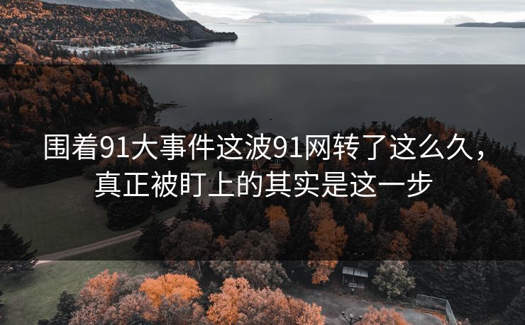 围着91大事件这波91网转了这么久，真正被盯上的其实是这一步  第1张